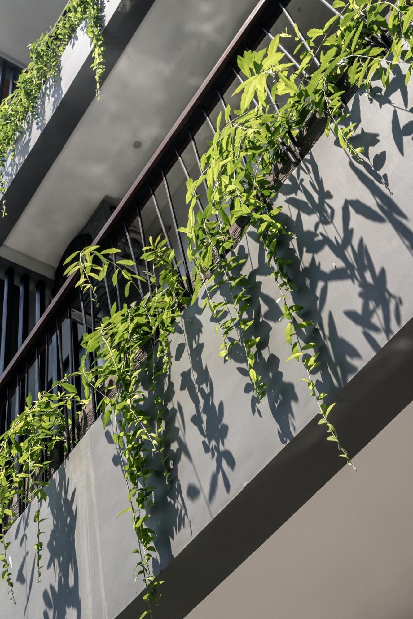 Apartment Casacotta Seminyak (Bali)